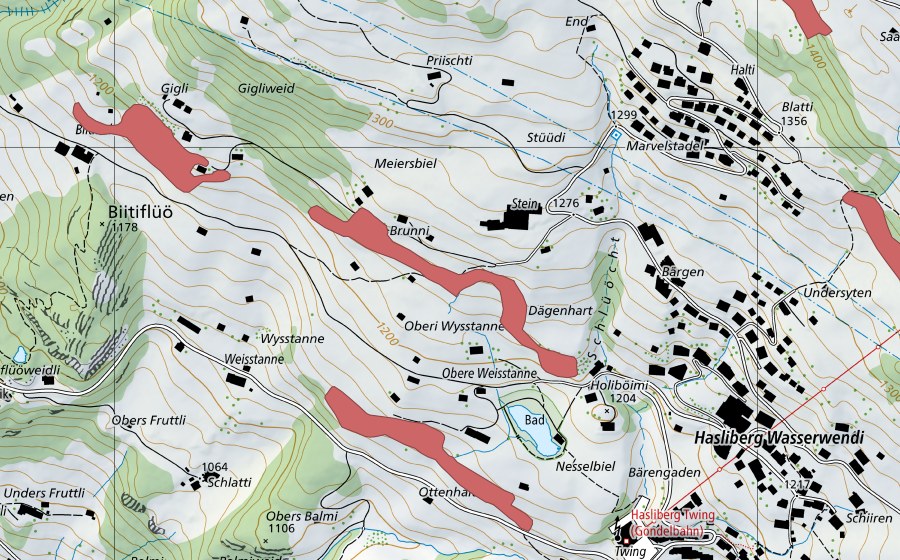 Landeskarte swisstopo mit dem Schutzperimeter von Wysstanne (Trockenwiese)