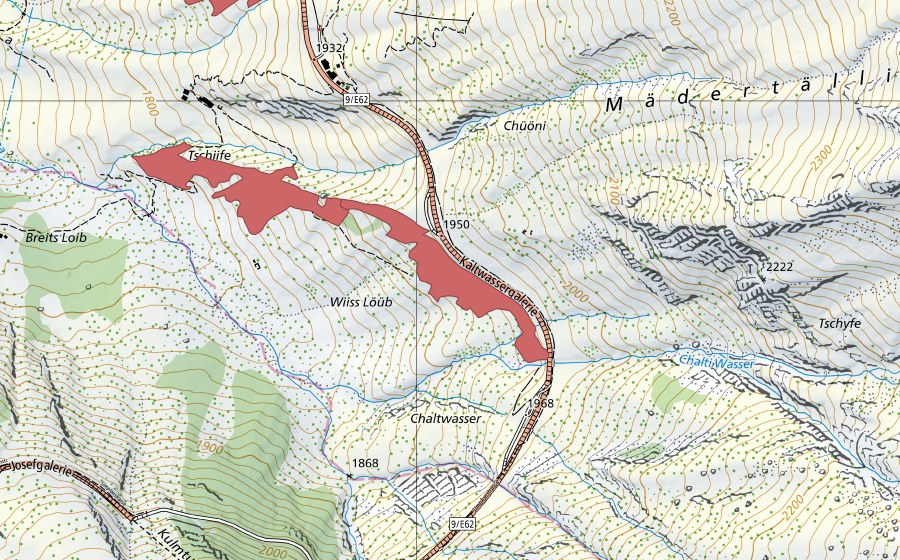 swisstopo national map showing the protected perimeter of Wyssus Löüb (Dry meadow)