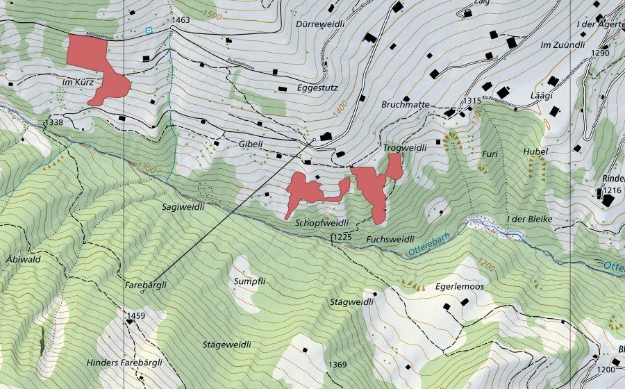 Landeskarte swisstopo mit dem Schutzperimeter von Zälg (Trockenwiese)