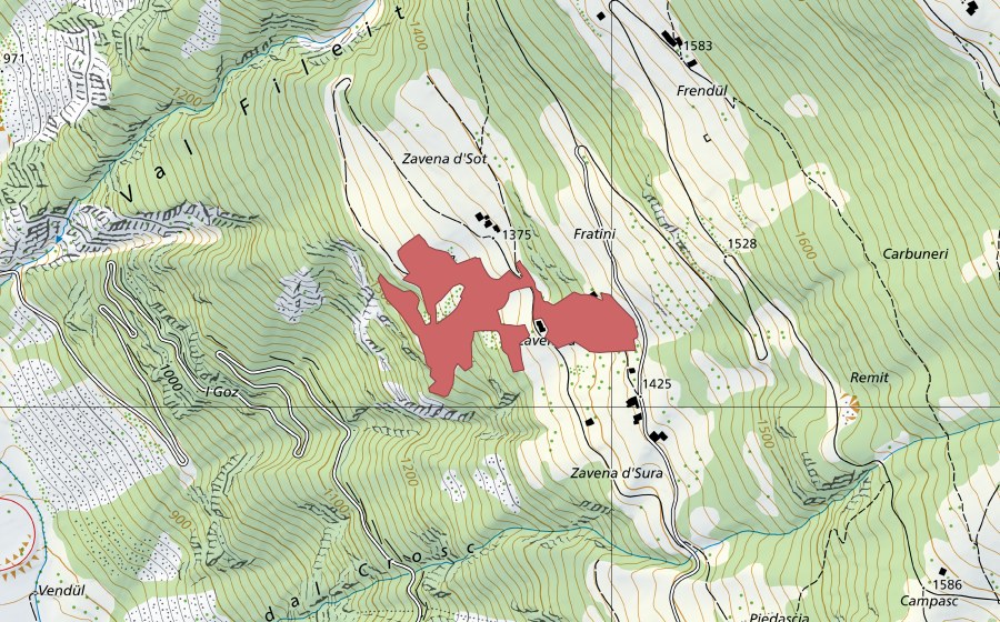 swisstopo national map showing the protected perimeter of Zavena (Dry meadow)