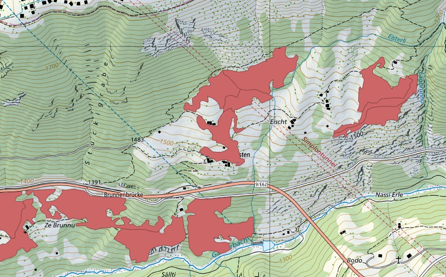 swisstopo national map showing the protected perimeter of Ze Brunnu (Dry meadow)