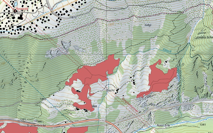 swisstopo national map showing the protected perimeter of Ze Brunnu (Dry meadow)