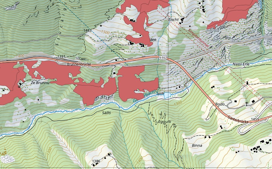 Landeskarte swisstopo mit dem Schutzperimeter von Ze Brunnu (Trockenwiese)