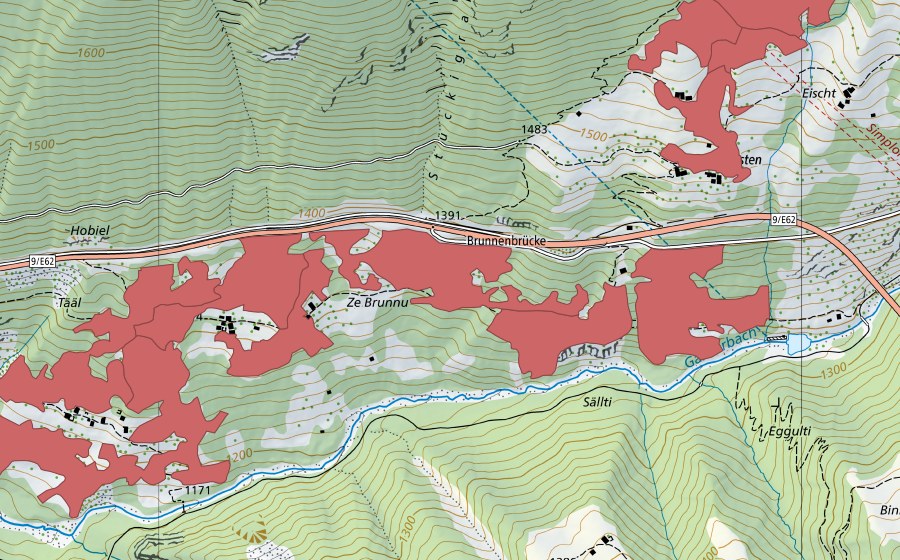 swisstopo national map showing the protected perimeter of Ze Brunnu (Dry meadow)