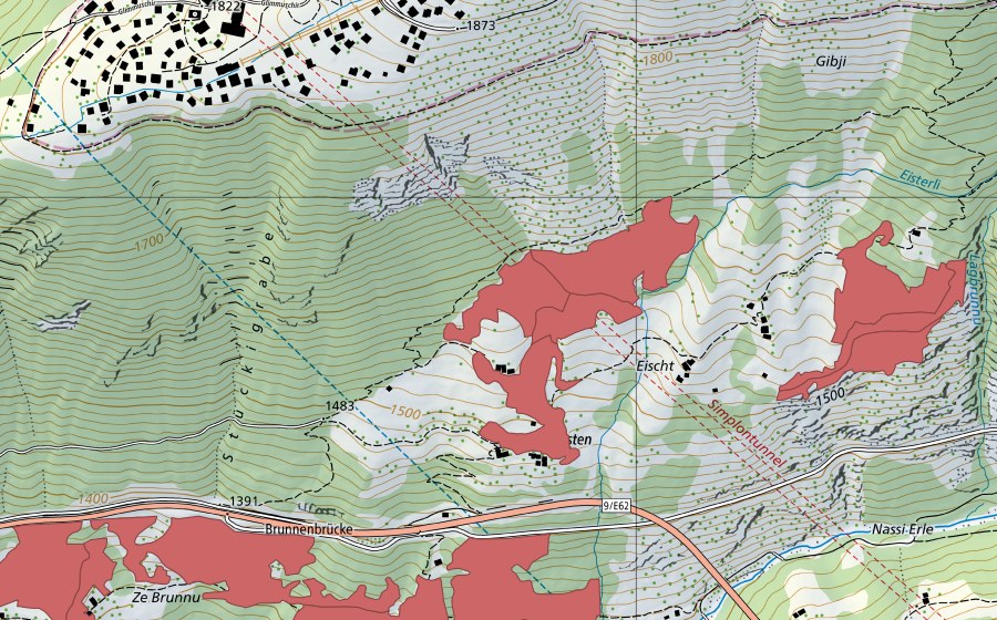 swisstopo national map showing the protected perimeter of Ze Brunnu (Dry meadow)