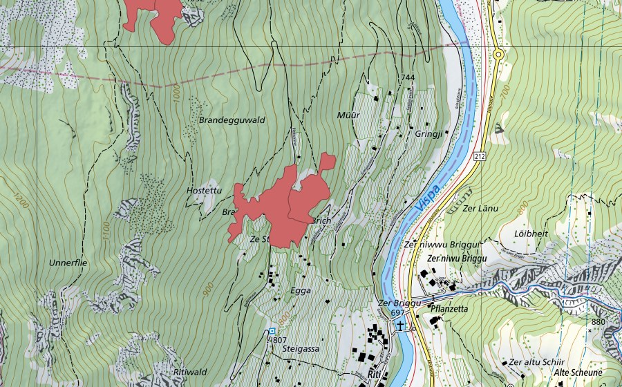 swisstopo national map showing the protected perimeter of Ze Stubjine (Dry meadow)
