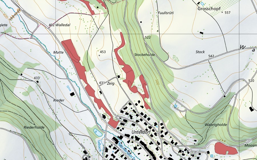 Landeskarte swisstopo mit dem Schutzperimeter von Zelg (Trockenwiese)