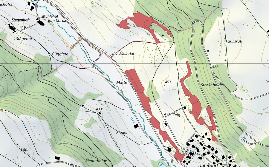 swisstopo national map showing the protected perimeter of Zelg (Dry meadow)