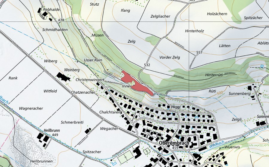 Landeskarte swisstopo mit dem Schutzperimeter von Zelg (Trockenwiese)