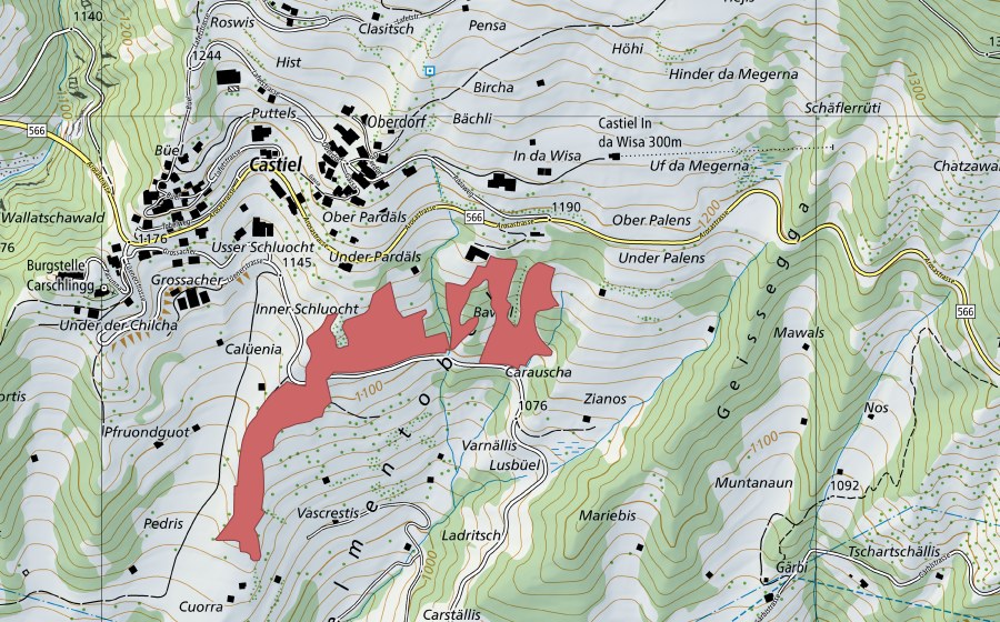 swisstopo national map showing the protected perimeter of Zianos (Dry meadow)