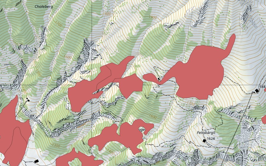 swisstopo national map showing the protected perimeter of Zind (Dry meadow)