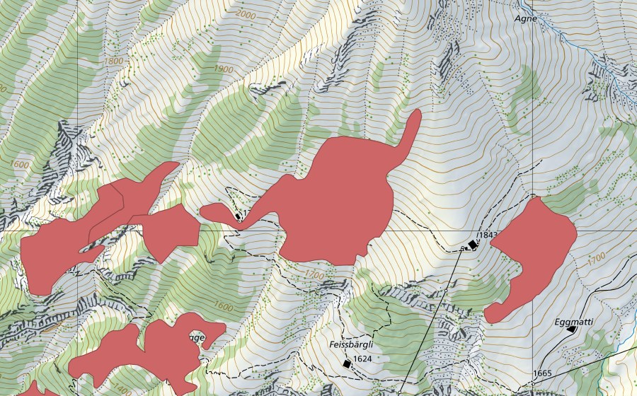 Landeskarte swisstopo mit dem Schutzperimeter von Zind (Trockenwiese)