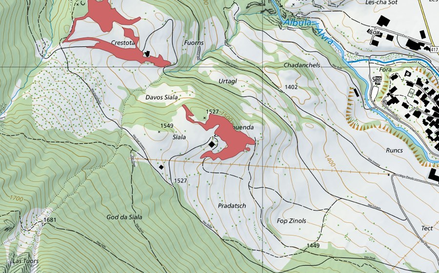 Landeskarte swisstopo mit dem Schutzperimeter von Zinols (Trockenwiese)