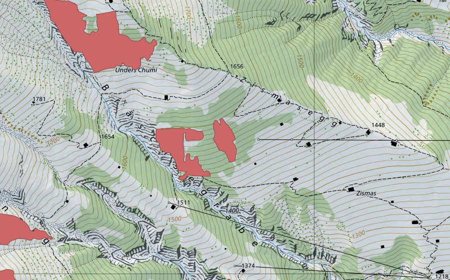 swisstopo national map showing the protected perimeter of Zismas (Dry meadow)