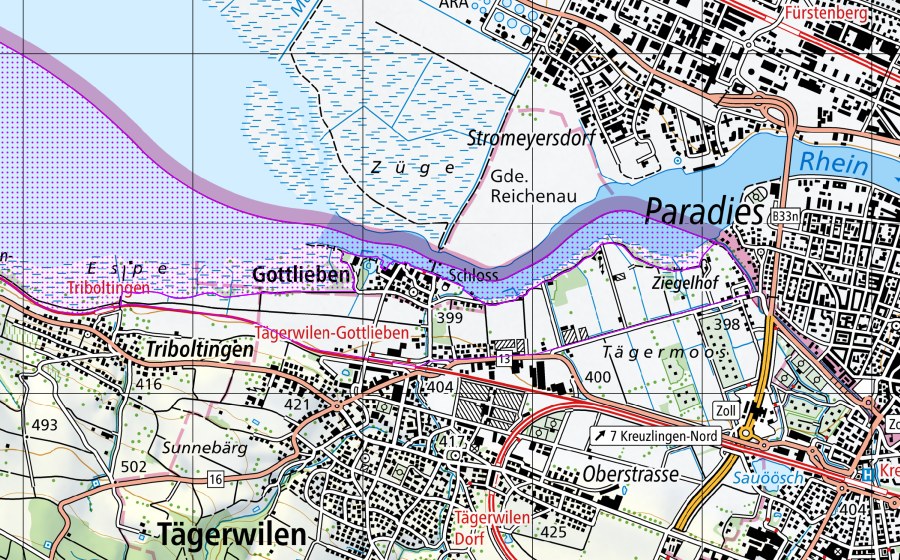 Carte nationale swisstopo avec le périmètre protégé de Ermatinger Becken (TG) (Réserve d’oiseaux d’eau)
