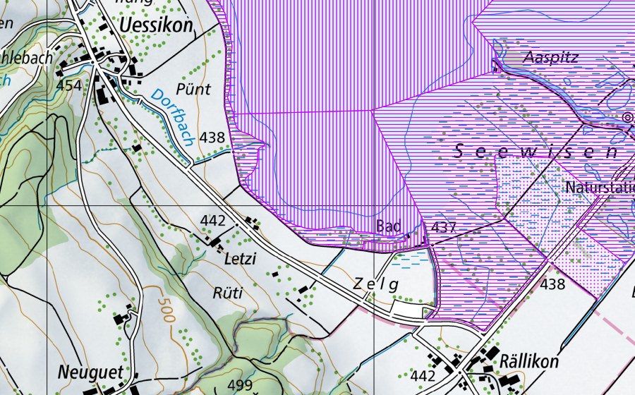 Landeskarte swisstopo mit dem Schutzperimeter von Greifensee (ZH) (Wasser- und Zugvogelreservat)