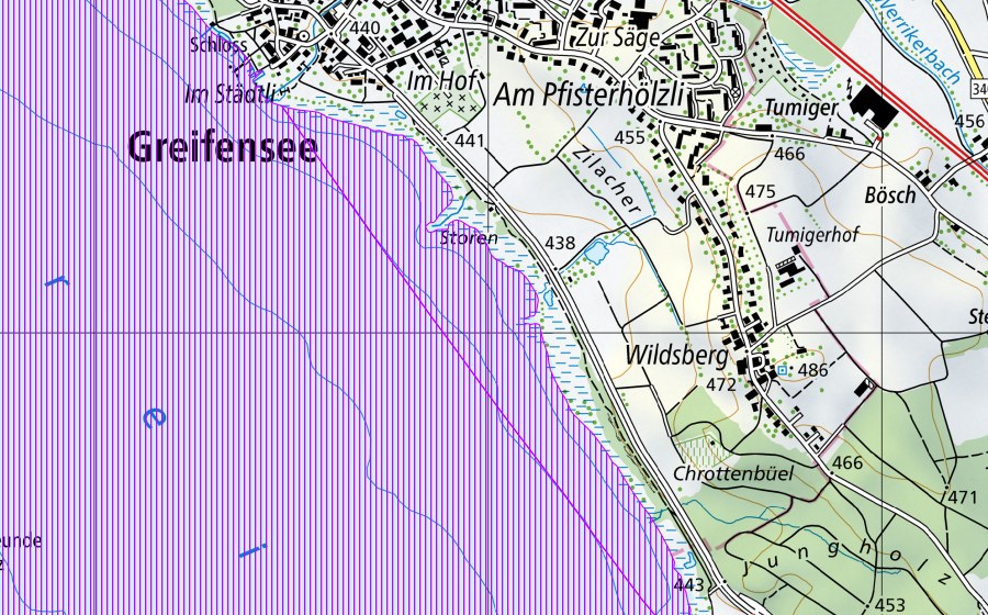 Landeskarte swisstopo mit dem Schutzperimeter von Greifensee (ZH) (Wasser- und Zugvogelreservat)