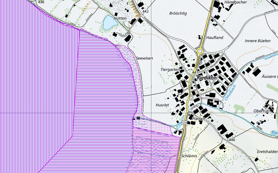 swisstopo national map showing the protected perimeter of Greifensee (ZH) (Water bird reserve)