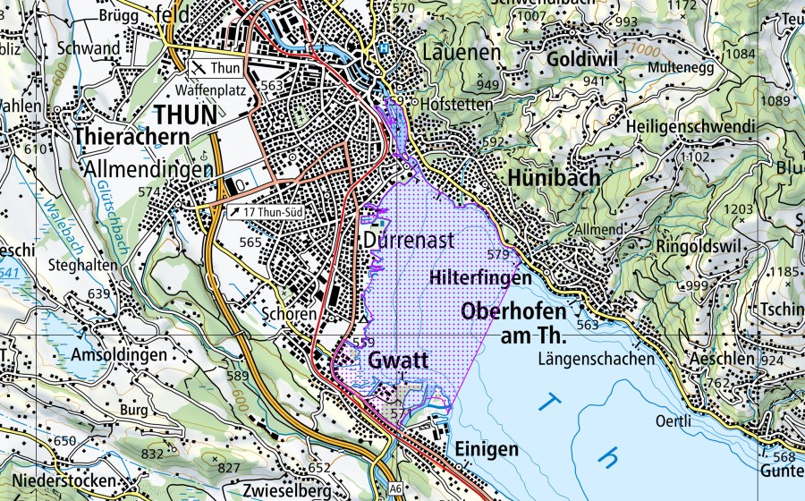 Landeskarte swisstopo mit dem Schutzperimeter von Kanderdelta bis Hilterfingen (BE) (Wasser- und Zugvogelreservat)