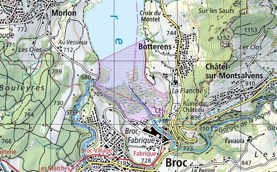 Carte nationale swisstopo avec le périmètre protégé de Lac de la Gruyère à Broc (FR) (Réserve d’oiseaux d’eau)