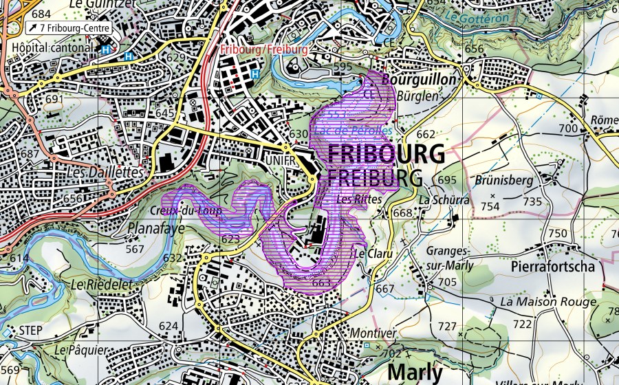 swisstopo national map showing the protected perimeter of Lac de Pérolles (FR) (Water bird reserve)