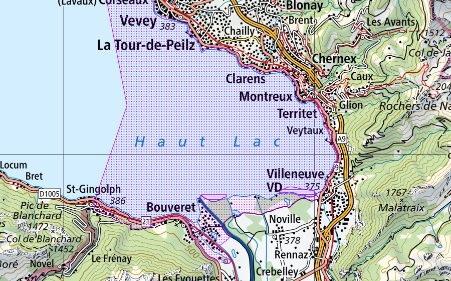 Landeskarte swisstopo mit dem Schutzperimeter von Les Grangettes (VD,VS) (Wasser- und Zugvogelreservat)