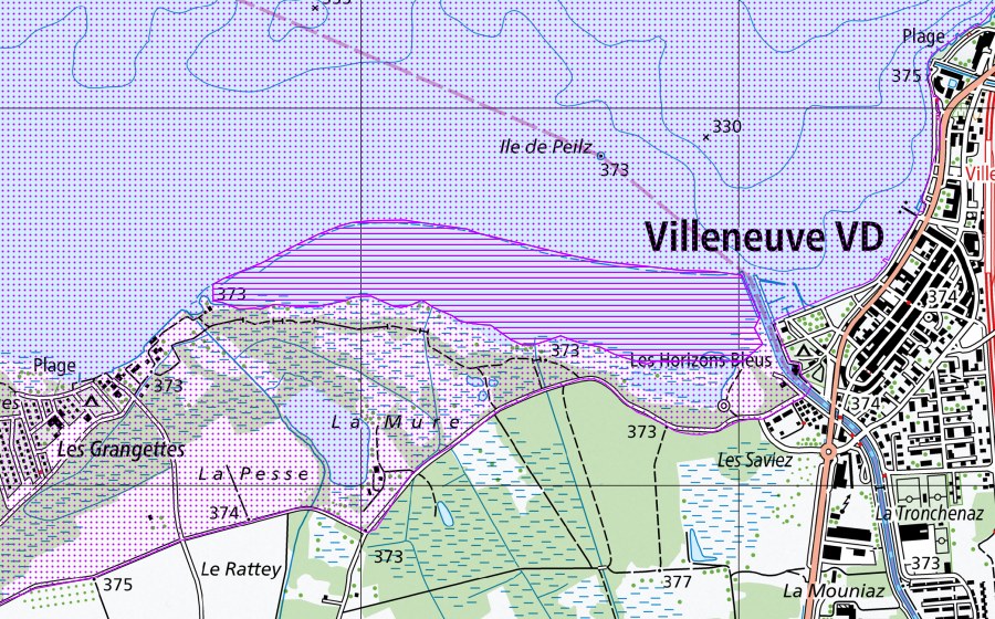 Landeskarte swisstopo mit dem Schutzperimeter von Les Grangettes (VD,VS) (Wasser- und Zugvogelreservat)