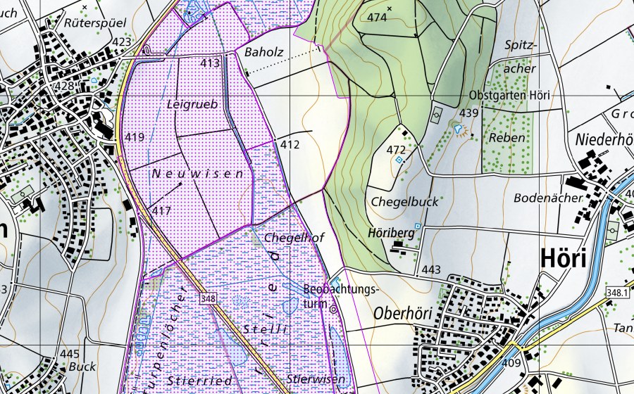 Landeskarte swisstopo mit dem Schutzperimeter von Neeracher Ried (ZH) (Wasser- und Zugvogelreservat)