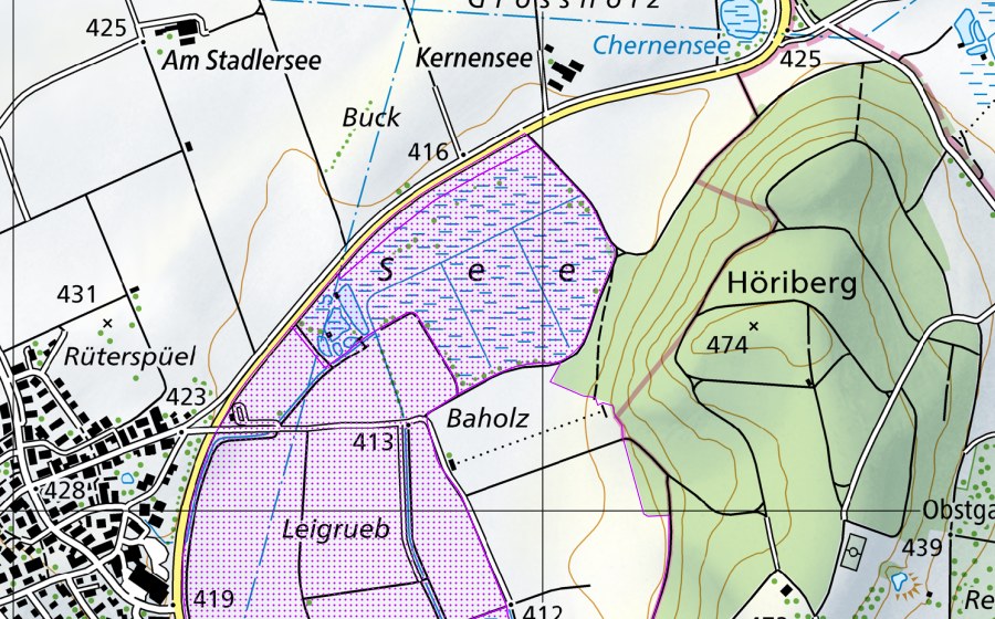 Landeskarte swisstopo mit dem Schutzperimeter von Neeracher Ried (ZH) (Wasser- und Zugvogelreservat)
