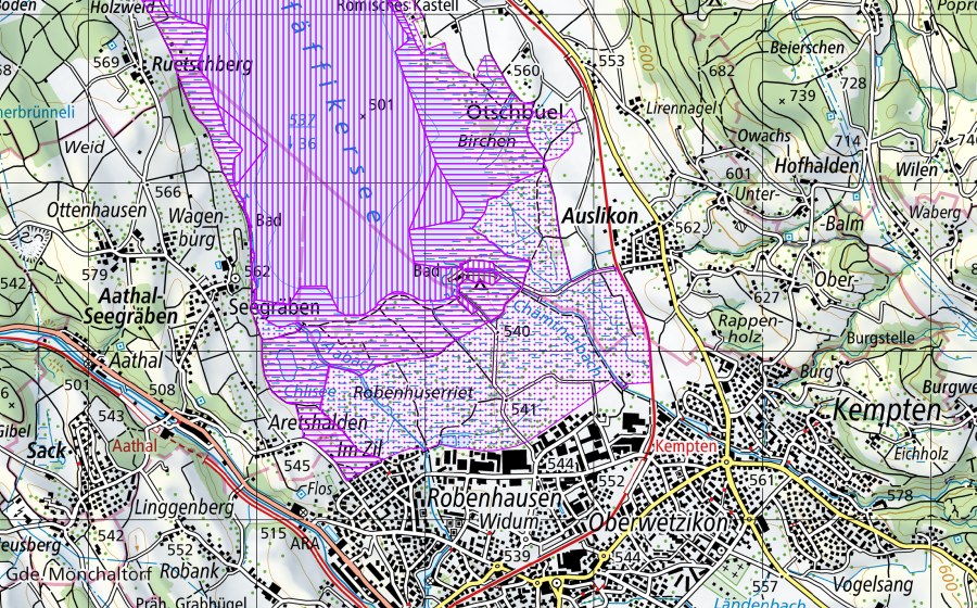 Carta nazionale swisstopo con il perimetro protetto di Pfäffikersee (ZH) (Riserva di uccelli acquatici)