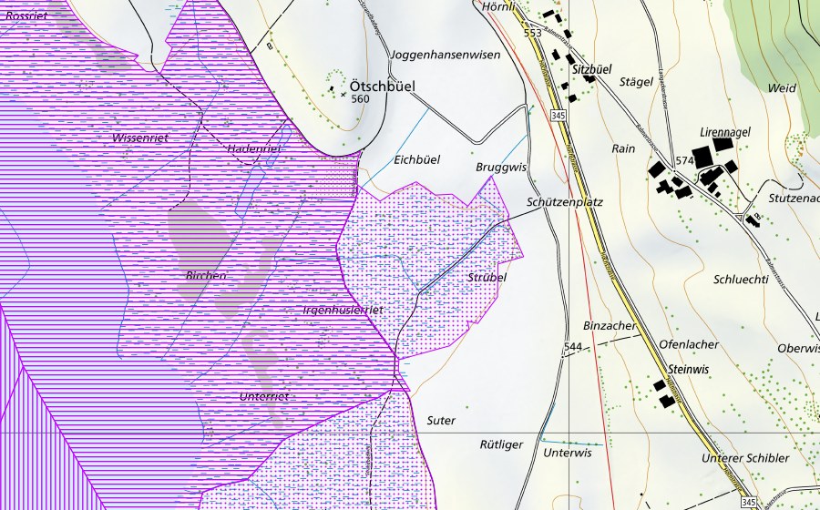 Carte nationale swisstopo avec le périmètre protégé de Pfäffikersee (ZH) (Réserve d’oiseaux d’eau)