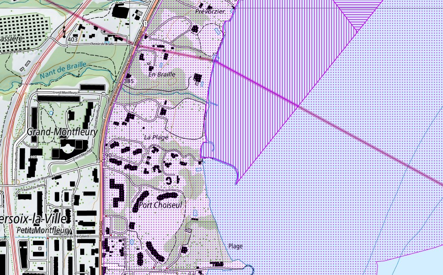 Carta nazionale swisstopo con il perimetro protetto di Rive droite du Petit-Lac (GE, VD) (Riserva di uccelli acquatici)
