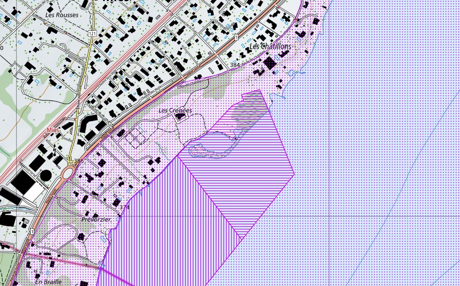 swisstopo national map showing the protected perimeter of Rive droite du Petit-Lac (GE, VD) (Water bird reserve)