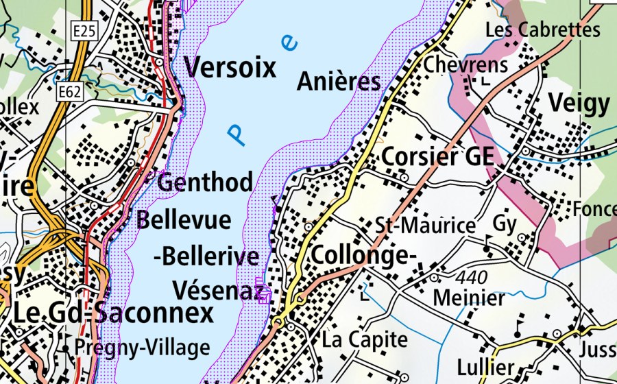 swisstopo national map showing the protected perimeter of Rive gauche du Petit-Lac (GE) (Water bird reserve)