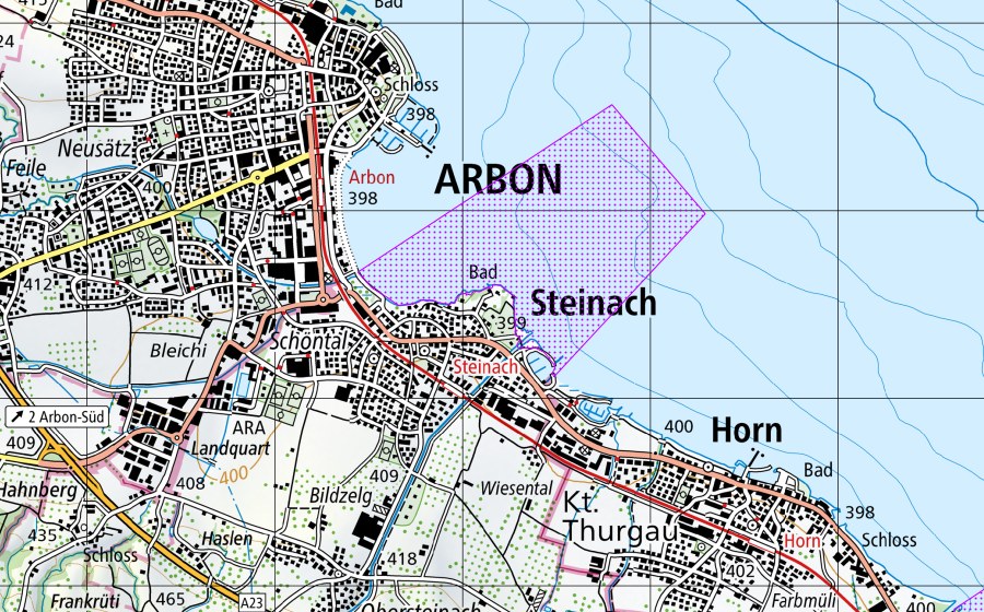 Carte nationale swisstopo avec le périmètre protégé de Rorschacher Bucht / Arbon (SG) (Réserve d’oiseaux d’eau)