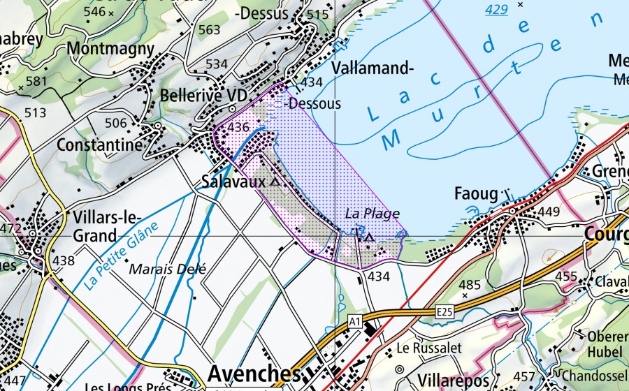 Carte nationale swisstopo avec le périmètre protégé de Salavaux (VD) (Réserve d’oiseaux d’eau)