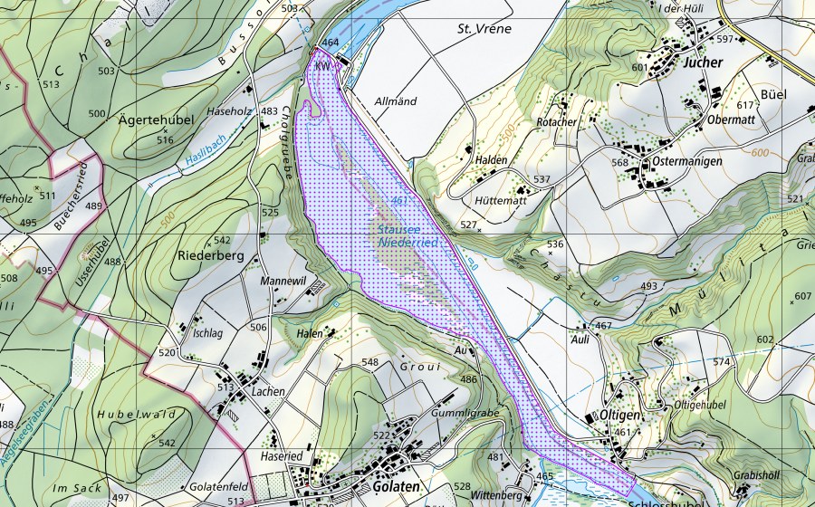 swisstopo national map showing the protected perimeter of Stausee Niederried (BE) (Water bird reserve)