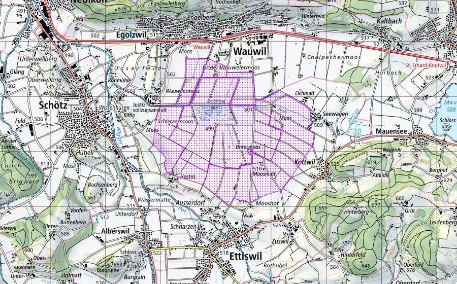 Landeskarte swisstopo mit dem Schutzperimeter von Wauwilermoos (LU) (Wasser- und Zugvogelreservat)