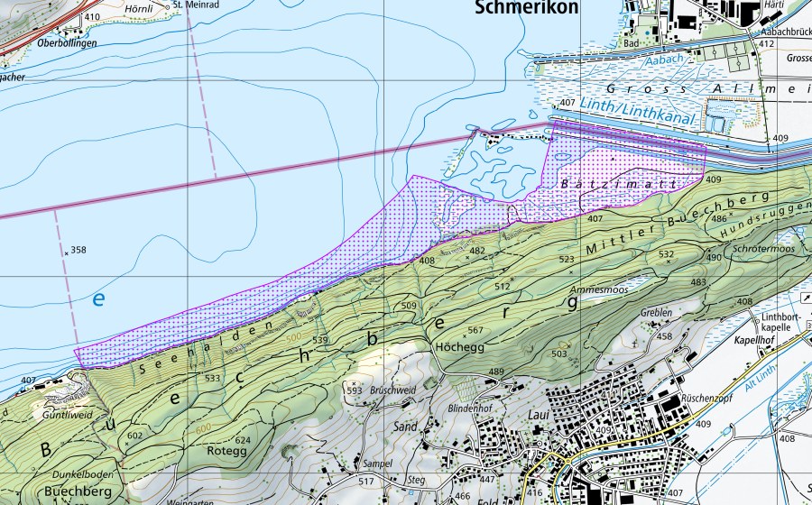 Landeskarte swisstopo mit dem Schutzperimeter von Zürich-Obersee: Guntliweid bis Bätzimatt (SZ) (Wasser- und Zugvogelreservat)