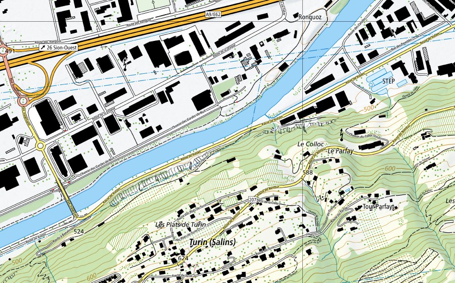 swisstopo national map showing the protected perimeter of Rhône-Sion (Water temperature station)